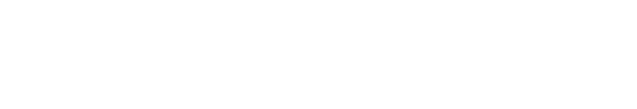 The Play Therapist